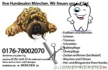 Biete Hundefriseur, Hundesalon, Hundepflege, Hundecoiffeur, München