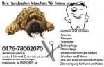 Biete 