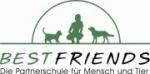 Biete Individuelles Hundetraining in Alltagssituationen