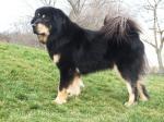 Biete
