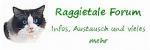 Biete Neues Ragdoll Forum
