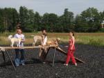 Biete 2-Tages-Workshop: Alphatier?