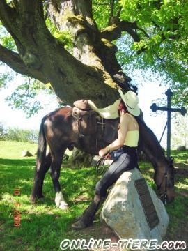 Biete Reitpilgern, Reiten