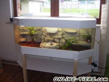 Biete Terrarium