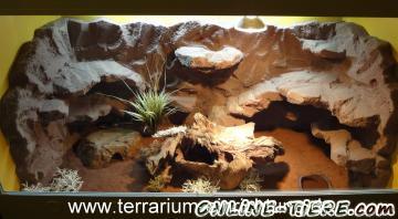 Biete Terrariumr&uuml;ckwand  3d r&uuml;ckwand www.terrtarium-einrichtung.de