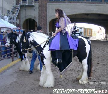 Biete Tinker