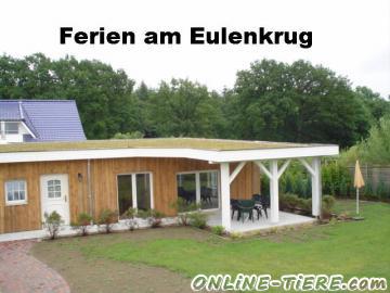 Biete Urlaub mit Hund