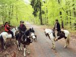 Biete Wanderreiten, Westernstil, Reiten